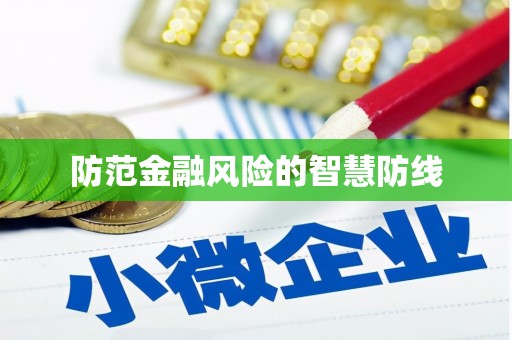 泸水防范金融风险的智慧防线