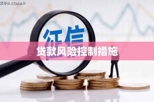 泸水贷款风险控制措施