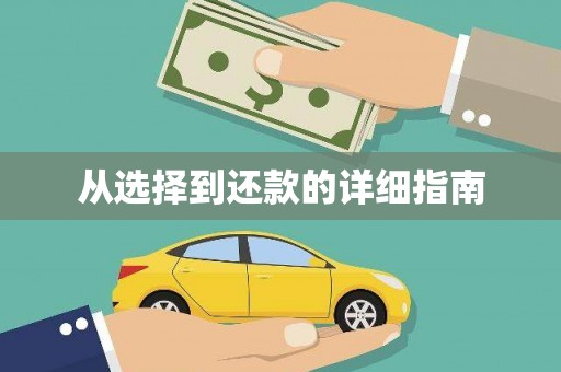 泸水从选择到还款的详细指南