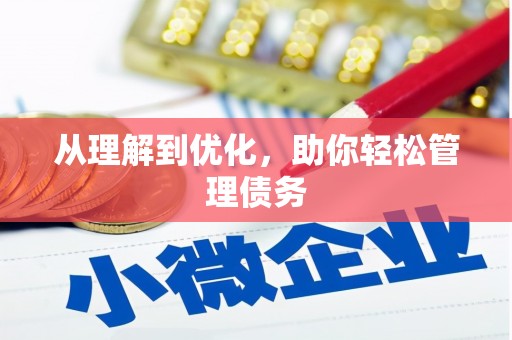 泸水从理解到优化，助你轻松管理债务
