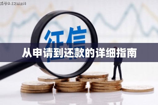 泸水从申请到还款的详细指南