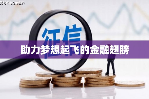 泸水助力梦想起飞的金融翅膀