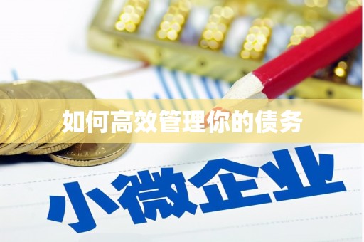泸水如何高效管理你的债务