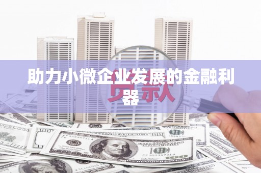 泸水助力小微企业发展的金融利器