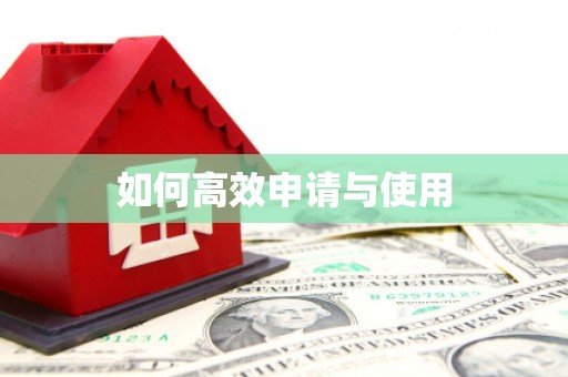 泸水如何高效申请与使用