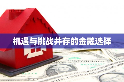 泸水机遇与挑战并存的金融选择