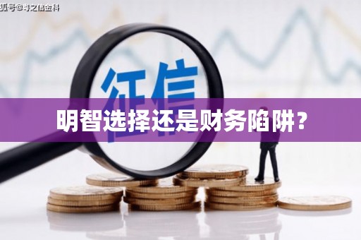泸水明智选择还是财务陷阱？