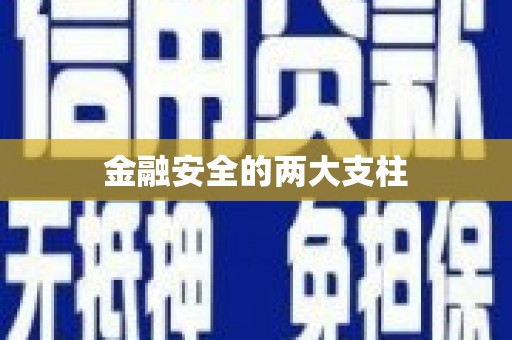 泸水金融安全的两大支柱