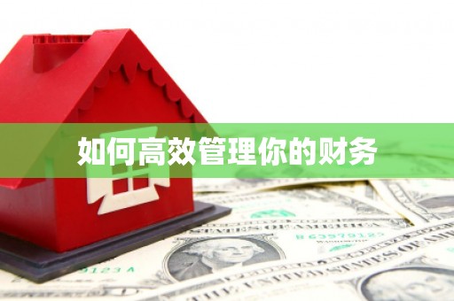 泸水如何高效管理你的财务