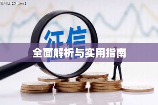 泸水全面解析与实用指南