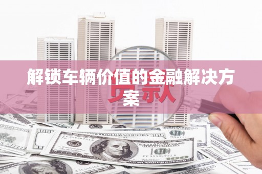 泸水解锁车辆价值的金融解决方案