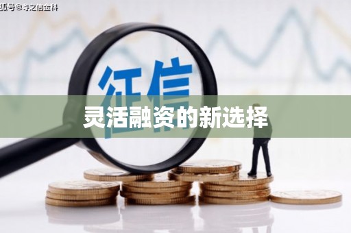 泸水灵活融资的新选择