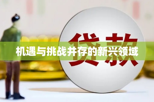 泸水机遇与挑战并存的新兴领域