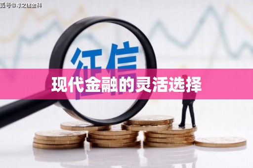 泸水现代金融的灵活选择