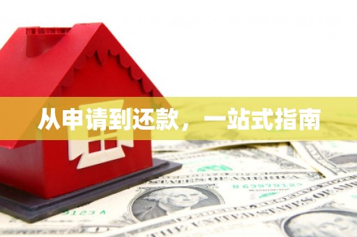 泸水从申请到还款，一站式指南