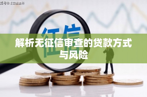 泸水解析无征信审查的贷款方式与风险
