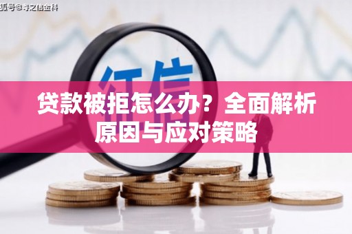 泸水贷款被拒怎么办？全面解析原因与应对策略