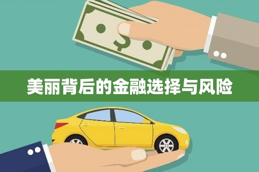 泸水美丽背后的金融选择与风险