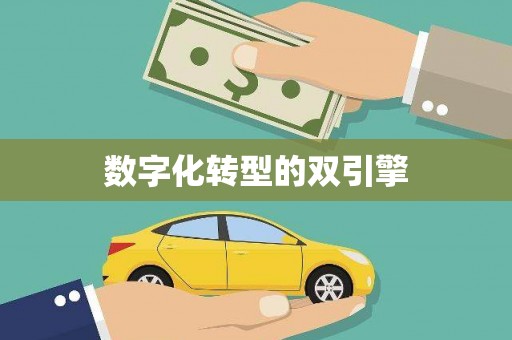 泸水数字化转型的双引擎