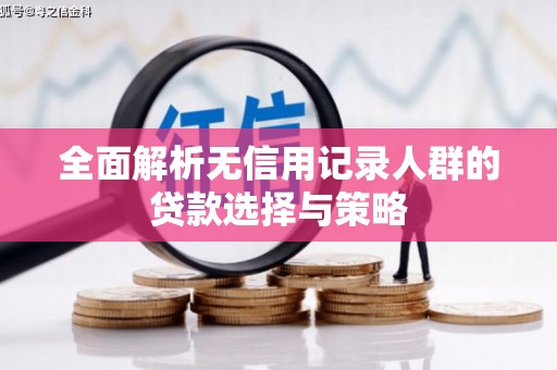 泸水全面解析无信用记录人群的贷款选择与策略