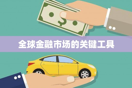 泸水全球金融市场的关键工具