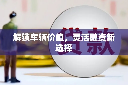 泸水解锁车辆价值，灵活融资新选择