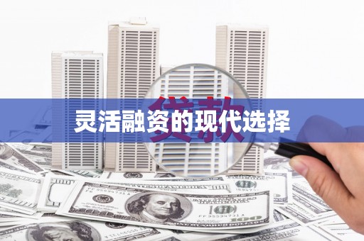 泸水灵活融资的现代选择