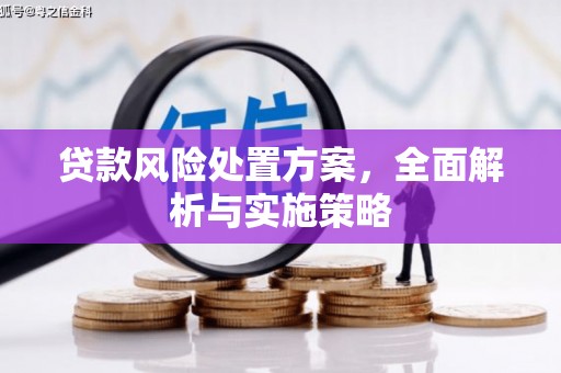 泸水贷款风险处置方案，全面解析与实施策略