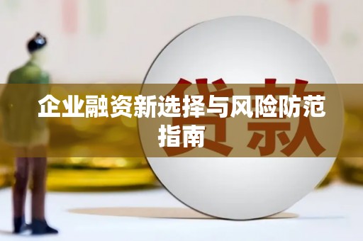 泸水企业融资新选择与风险防范指南