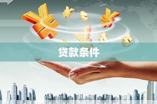 泸水贷款条件