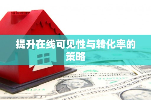 泸水提升在线可见性与转化率的策略