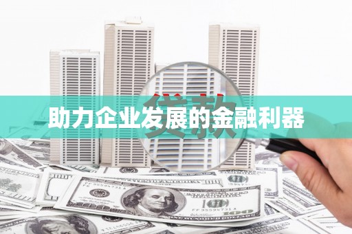 泸水助力企业发展的金融利器