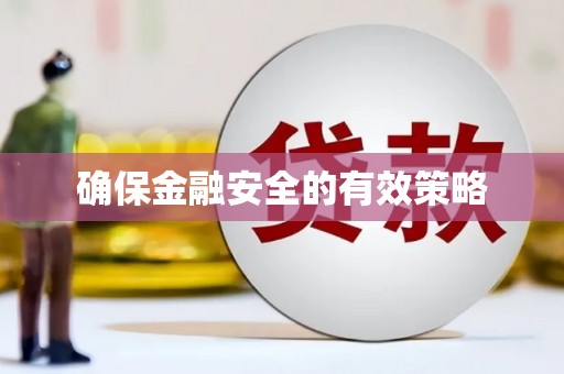 泸水确保金融安全的有效策略