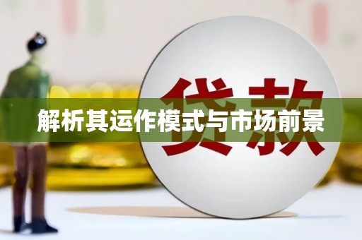 泸水解析其运作模式与市场前景