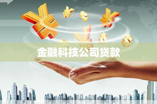 泸水金融科技公司贷款
