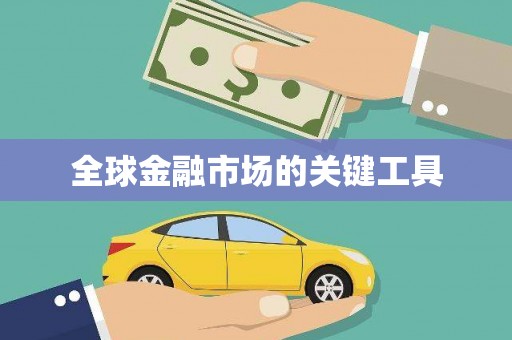 泸水全球金融市场的关键工具