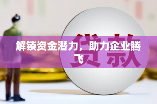 泸水解锁资金潜力，助力企业腾飞