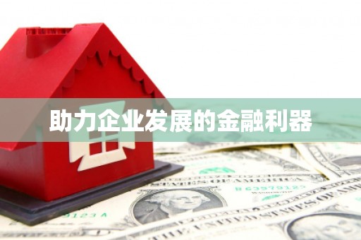 泸水助力企业发展的金融利器
