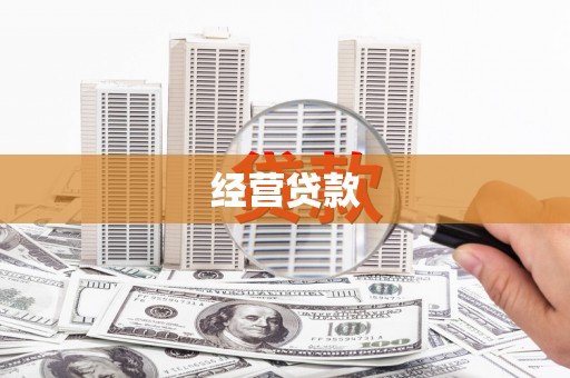 泸水经营贷款
