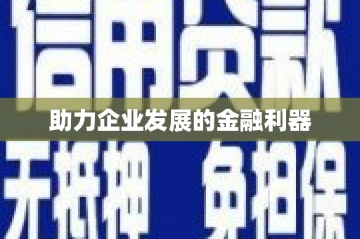 泸水助力企业发展的金融利器