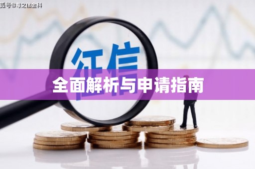 泸水全面解析与申请指南