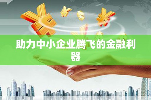 泸水助力中小企业腾飞的金融利器