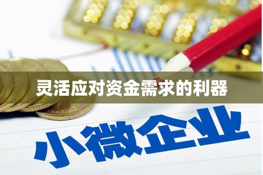 泸水灵活应对资金需求的利器