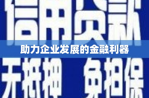 泸水助力企业发展的金融利器