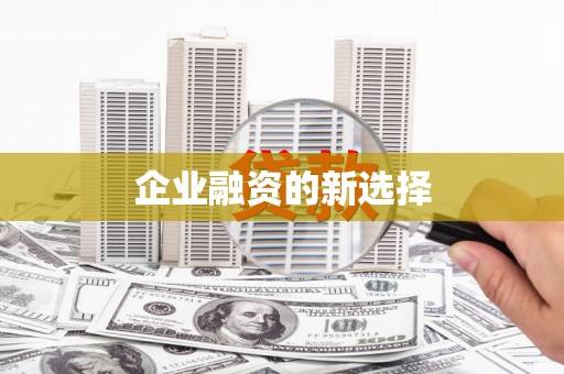 泸水企业融资的新选择