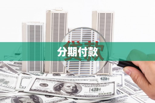 泸水分期付款