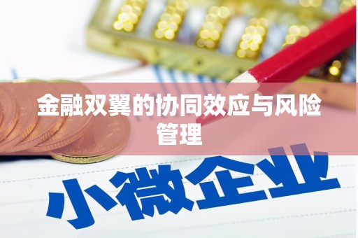 泸水金融双翼的协同效应与风险管理