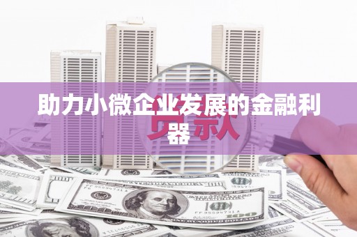 泸水助力小微企业发展的金融利器
