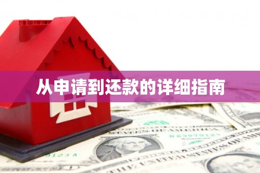 泸水从申请到还款的详细指南