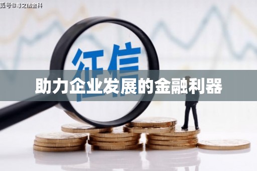泸水助力企业发展的金融利器